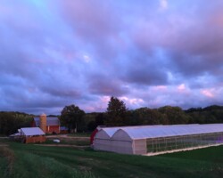 Farm and Greenhouse at Sunset